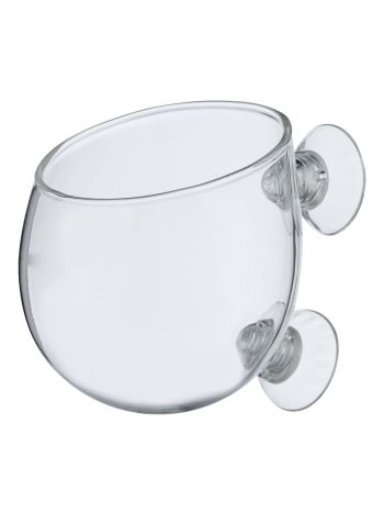 Plant Glass Pot